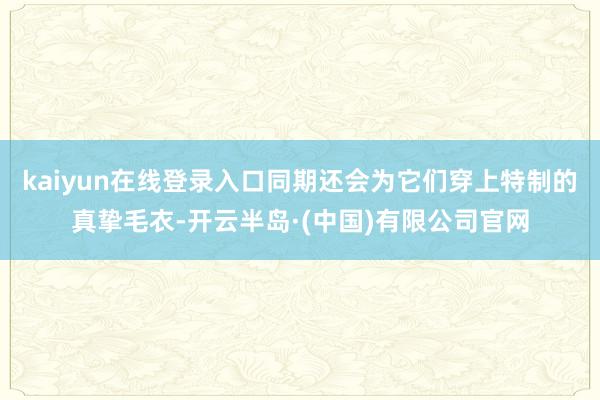 kaiyun在线登录入口同期还会为它们穿上特制的真挚毛衣-开云半岛·(中国)有限公司官网