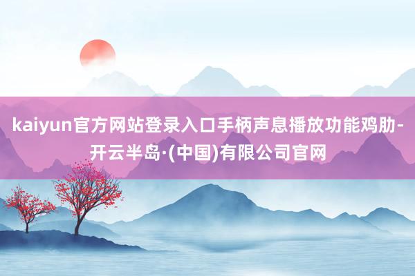 kaiyun官方网站登录入口手柄声息播放功能鸡肋-开云半岛·(中国)有限公司官网