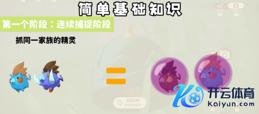 4.png