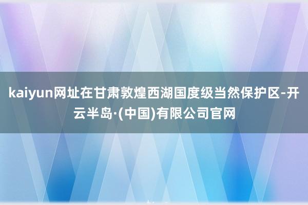 kaiyun网址在甘肃敦煌西湖国度级当然保护区-开云半岛·(中国)有限公司官网