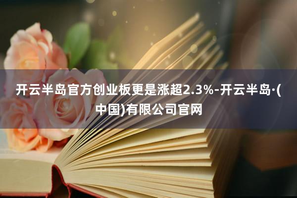 开云半岛官方创业板更是涨超2.3%-开云半岛·(中国)有限公司官网